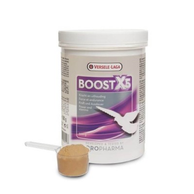Versele Laga Boost X5 Supplement For Bird 500 gm